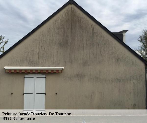 Peinture façade  rouziers-de-touraine-37360 M. Coteux