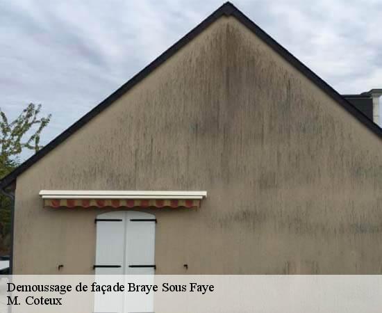 Demoussage de façade  braye-sous-faye-37120 M. Coteux