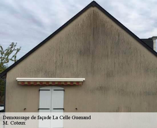 Demoussage de façade  la-celle-guenand-37350 M. Coteux