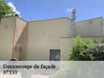 Demoussage de façade  37330