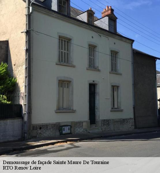 Demoussage de façade 37800