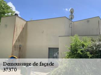 Demoussage de façade 37370