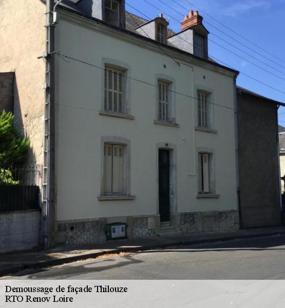Demoussage de façade 37260