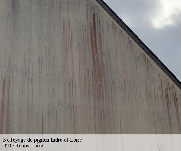 Nettoyage de pignon 37 Indre-et-Loire M. Coteux