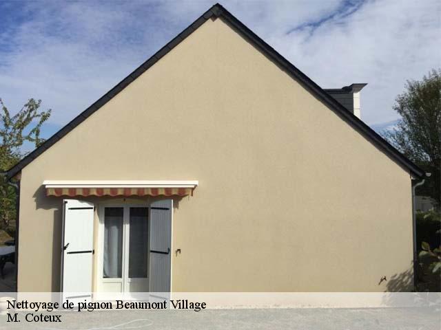 Nettoyage de pignon  beaumont-village-37460 M. Coteux
