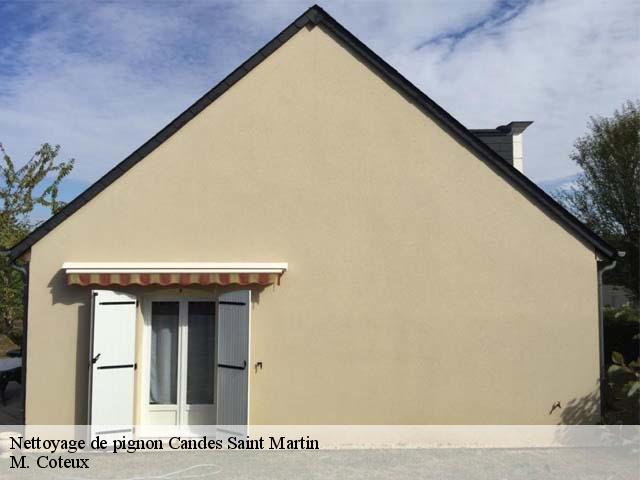 Nettoyage de pignon  candes-saint-martin-37500 M. Coteux