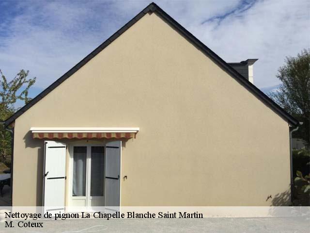 Nettoyage de pignon  la-chapelle-blanche-saint-martin-37240 M. Coteux