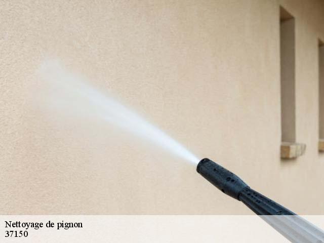 Nettoyage de pignon 37150