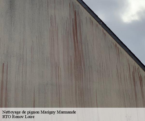 Nettoyage de pignon marigny-marmande-37120 M. Coteux
