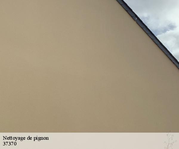 Nettoyage de pignon 37370