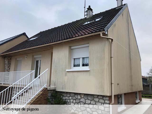 Nettoyage de pignon 37190